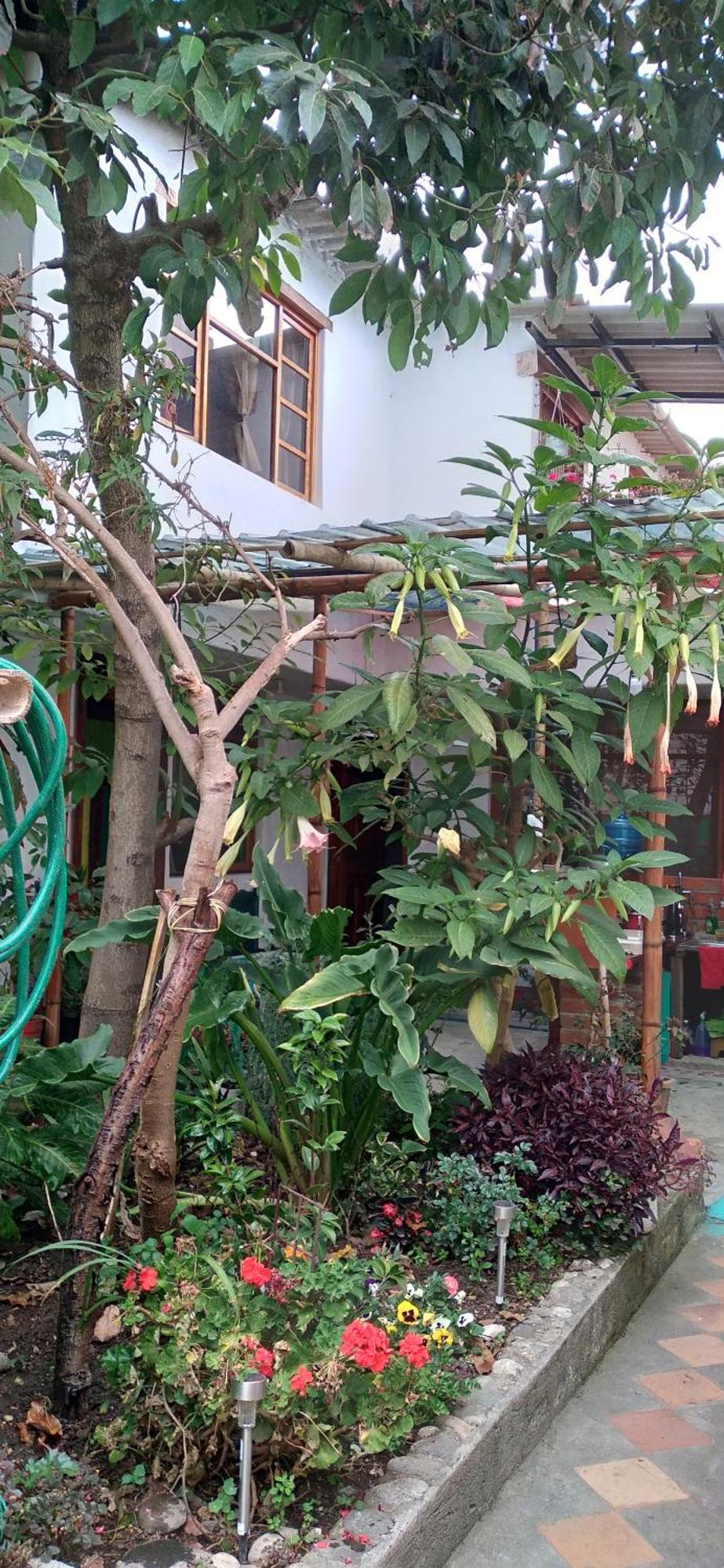 Aylluwasi Guesthouse Otavalo Exterior foto